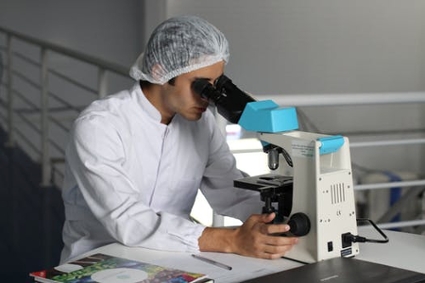 A researcher closely observing samples through a microscope