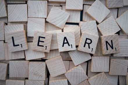 Alphabet blocks spelling out “Learn” placed in front of a background filled with other scattered blocks