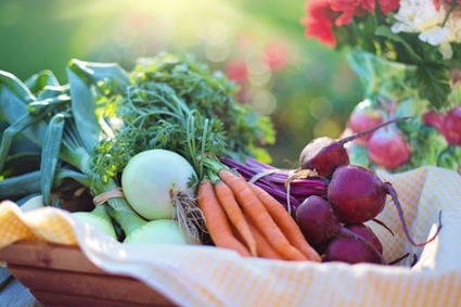 Assorted bright vegetables carefully placed in a basket