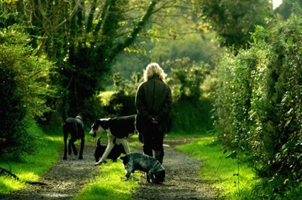Woman strolling in a lush green wood with dogs walking around her